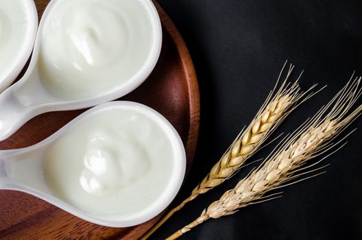 Greek yogurt in a white cup and dry barley on black background.