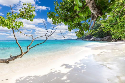 Beautiful sandy beach with wave crashing on sandy shore at Similan Islands Beautiful tropical sea Similan island No.4 at Similan national park, Phang nga Thailand