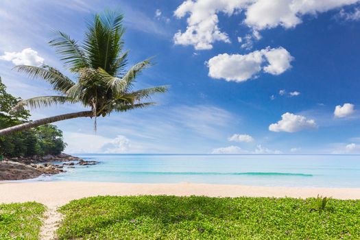 Tropical white sand beach scenery with coconut tree on blue sky background at Phuket, Thailand.