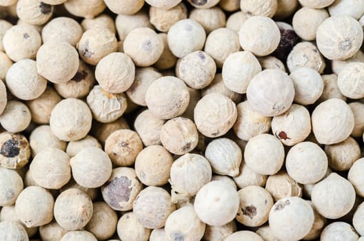 Background texture of whole white peppercorns.