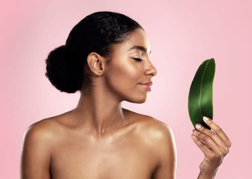 Woman, leaf and natural beauty in studio, pink background and eco friendly sustainable cosmetics. Face, african model and skincare from plants, green leaves and sustainability of vegan dermatology.