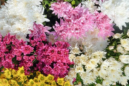 Bouquet of colorful flowers background