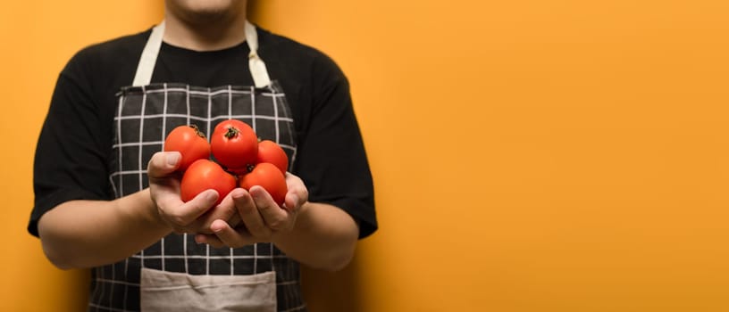 Unrecognizable wearing apron holding fresh organic tomatoes on yellow background. Vegetables and healthy food concept.