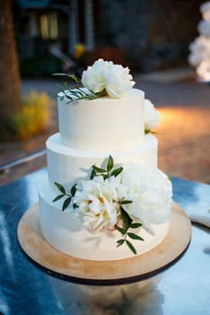 Beautiful and sweet wedding cake for newlyweds