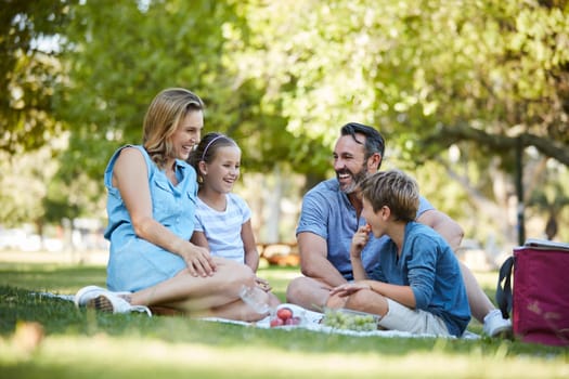 Do more things that make your family smile. a happy young family enjoying a picnic in the park