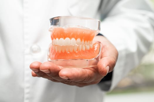 Denture, dentist holding dental teeth model to study and treat in hospital.