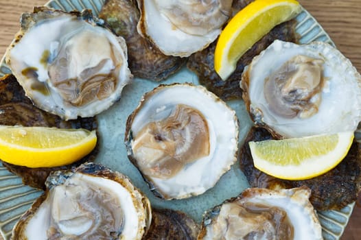 Fresh oysters served on a plate with lemon on old wooden table. Teasty Oysters served in fish restaurant.