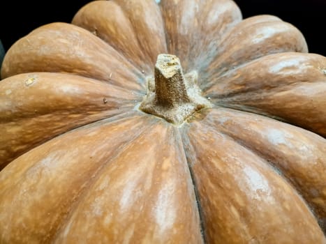 Decorative orange pumpkins on display at the farmers market in Germany. Orange ornamental pumpkins in sunlight.