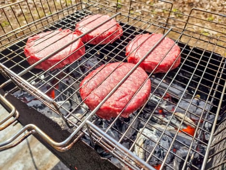 Assorted delicious grilled meat with vegetables over the coals on barbecue
