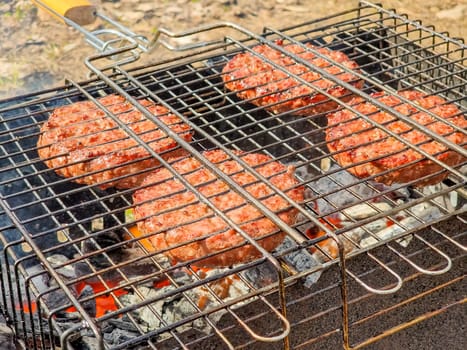 Assorted delicious grilled meat with vegetables over the coals on barbecue