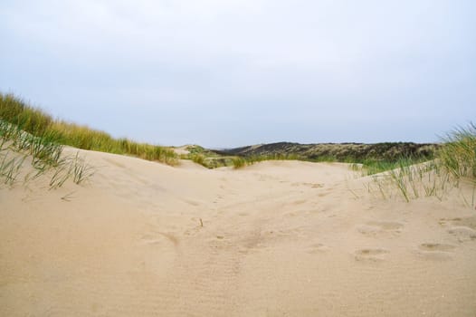 Sand dunes with marram grass and empty beach on Dutch coastline. Netherlands in overcast day. The dunes or dyke at Dutch north sea coast