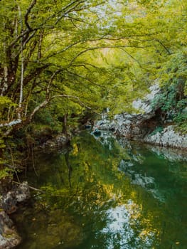 A group of friends enjoying having fun and kayaking while exploring the calm river, surrounding forest and large natural river canyons.