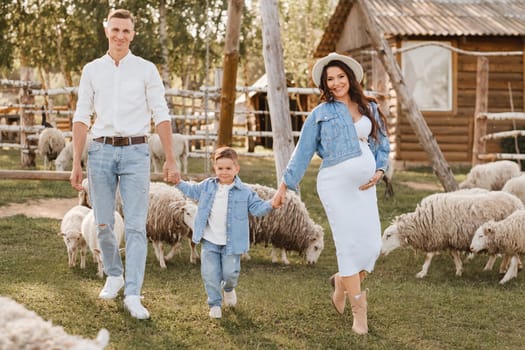 Stylish family in summer on a village farm with sheep.