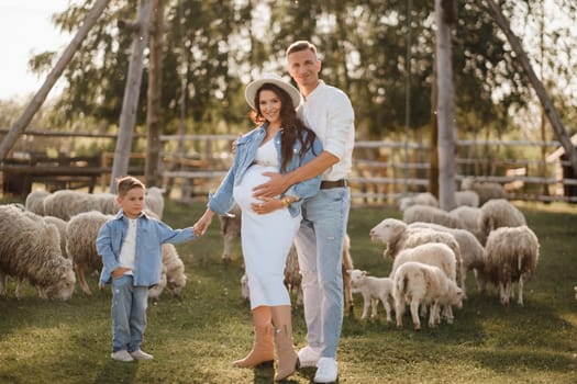 Stylish family in summer on a village farm with sheep.