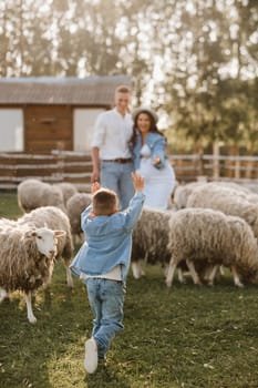 Stylish family in summer on a village farm with sheep.