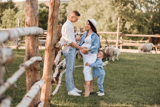 Stylish family in summer on a village farm with sheep.