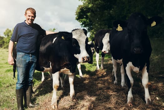 Portrait, agriculture and cows with a man on a farm outdoor for beef or natural sustainability. Confident, milk or dairy farming and a young male farmer standing on a field or meadow with animals.