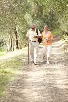 Hiking, nature and senior couple with walking stick, fitness and retirement exercise, wellness support or path in forest. Elderly people in woods for cardio, eco travel and health journey or trekking.