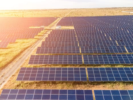 Aerial top view of a solar panels power plant. Photovoltaic solar panels at sunrise and sunset in countryside from above. Modern technology, climate care, earth saving, renewable energy concept