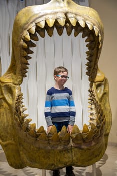 A school-age boy stands in the open mouth of a megalodon at the Aquarium -ST. PETERSBURG, RUSSIA - May 1, 2023