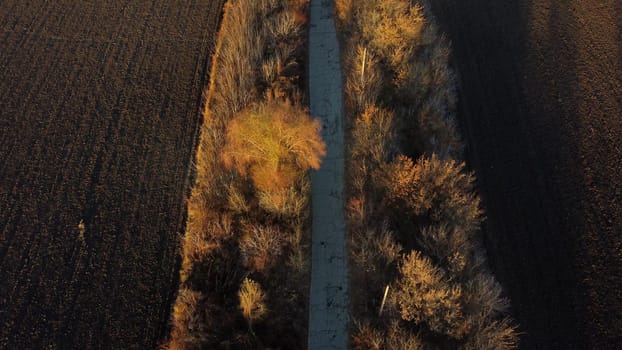 Beautiful landscape view old asphalt road with trees and shadows between large plowed agricultural fields of black soil on sunny autumn evening. Flying over dug agrarian fields of earth. Aerial drone