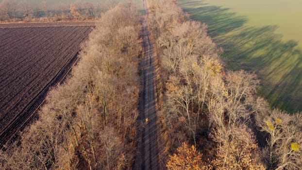 Woman in yellow jacket rides a bicycle on black dirt road between trees and agricultural fields on sunny autumn day. Woman on bicycle riding on dirt road on dirt road. Top view. Travel tourism