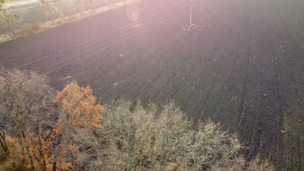 Plowed field and trees without leaves lit sunlight on sunny autumn spring day. Tilled land field. Chernozem black earth field. Dug up earth. Flying over agricultural field. Aerial view. Red sun glare