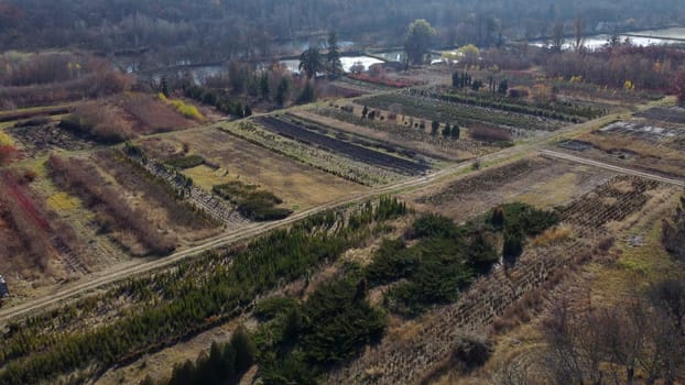 Plant nursery in autumn. Top view. Flying over plants of different varieties in beds in plant nursery on sunny autumn day. Growing and cultivating different plants and trees. Aerial drone view