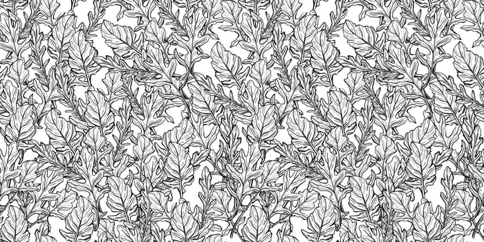 seamless pattern of Arugula leaves. Spicy and aromatic Italian seasoning