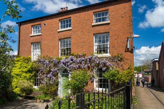 Oswestry, Shropshire - 12 May 2023: Georgian home with wisteria around the doorway in market town of Oswestry