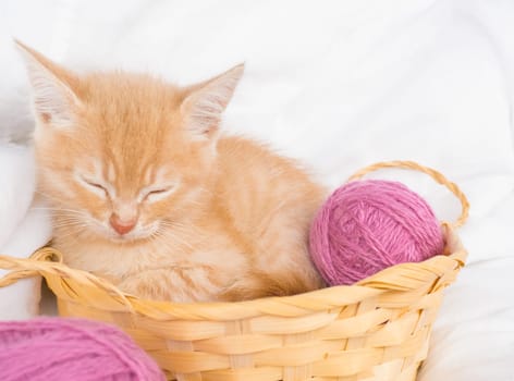 Ginger kitten sleeps in a straw basket with pink balls, skeins of thread on a white bed