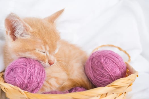 Ginger kitten sleeps in a straw basket with pink balls, skeins of thread on a white bed