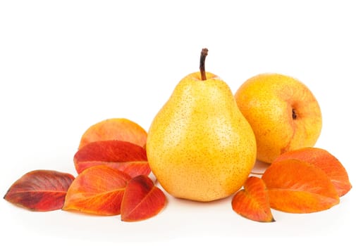 pears isolated on white backgrounFresh ripe fruits of pears with leaves isolated on white background