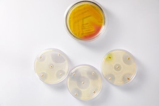 Concept of Pharmaceutical Research of Antibiotics, Curing Disease Fighting Epidemics
