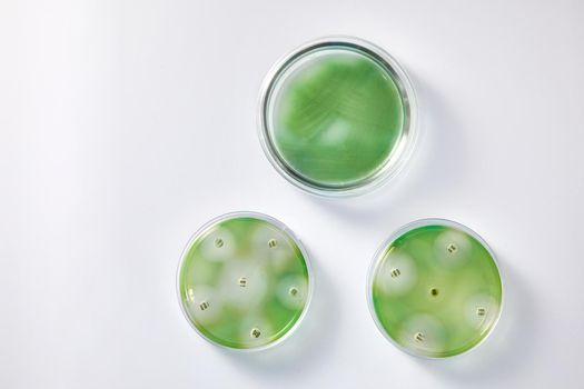 Concept of Pharmaceutical Research of Antibiotics, Curing Disease Fighting Epidemics