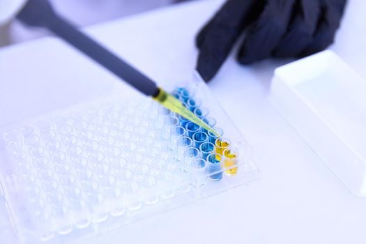 Lab Worker Adding Liquid to Test Tubes in laboratory
