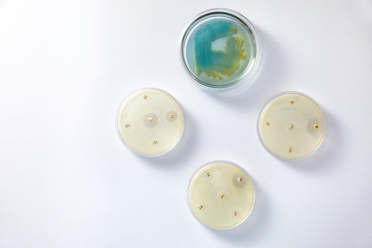 Concept of Pharmaceutical Research of Antibiotics, Curing Disease Fighting Epidemics