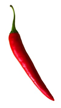 Fresh uncut red pepper. White background