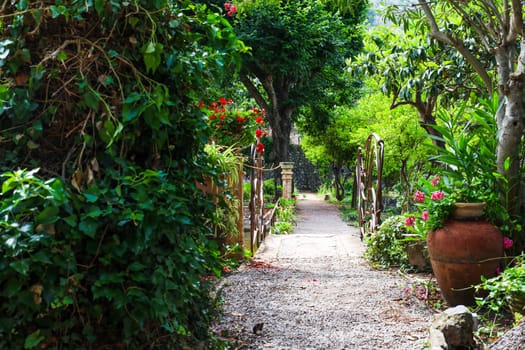 Mediterranean garden with Flowers and Trees. High quality photo