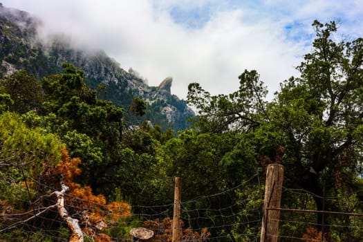 Mystical mountain landscape in Mallorca. High quality photo