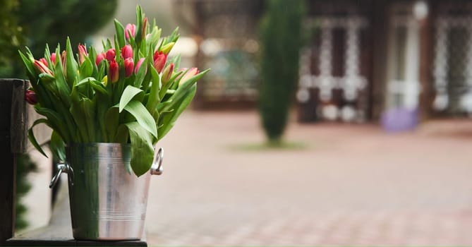 Bouquet of tulips in an iron bucket. Holiday. Gift. Natural flowers.