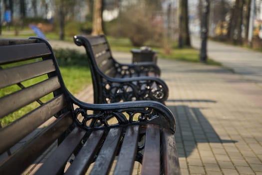 wooden bench with carved iron legs in an urban environment.