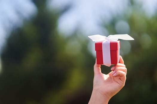 Woman holding small red present box in hands. High-quality photo