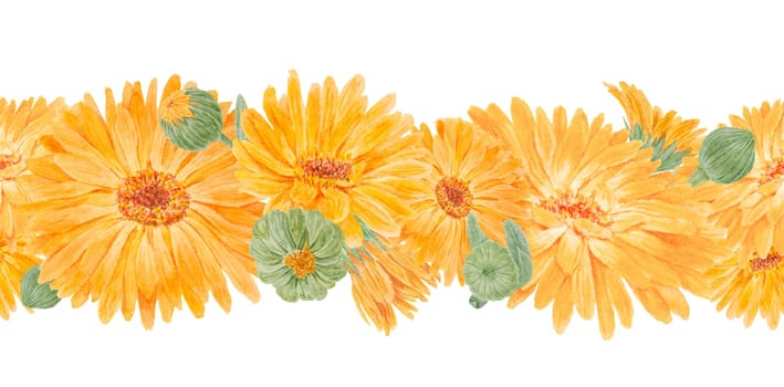 Orange calendula officinalis. Watercolor hand drawn illustration. Sunny ruddles flower with yellow petals and green leaves for natural herbal medicine, healthy tea, cosmetics and homeopatic remedies. Marigold botanical clipart good as an element for packaging design, labels, eco goods, textile, invitations