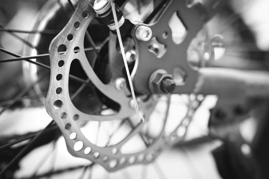 Bicycle rear wheel brake disc close-up, selective soft focus.