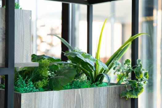 Decorative plastic plants on a rack in the interior by the window.