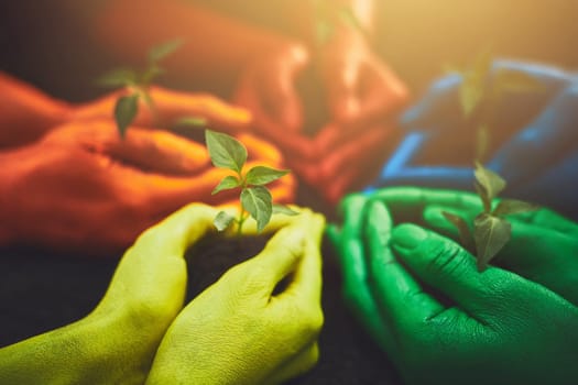 We are all created equally. unrecognizable people holding budding plants in their multi colored hands