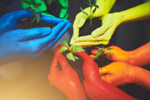 No matter who you are we all can make a difference. unrecognizable people holding budding plants in their multi colored hands