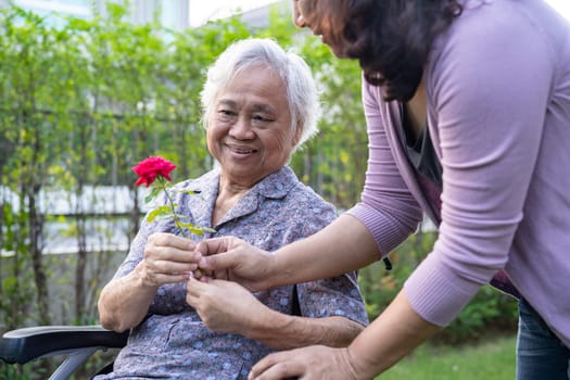 Asian elderly woman holding red rose flower, smile and happy in the sunny garden.