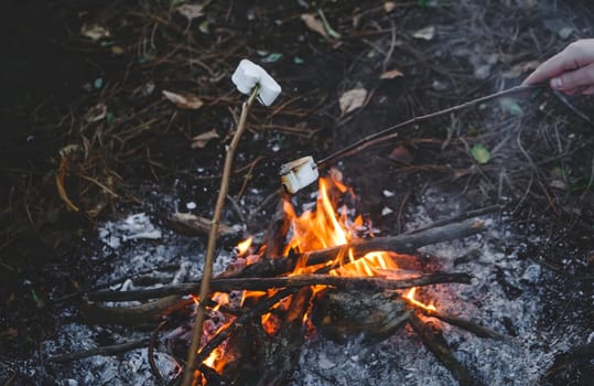 Marshmallow roasting hand drawn. Marshmallows on skewers in night camping fire. Wood campfire background. download photo